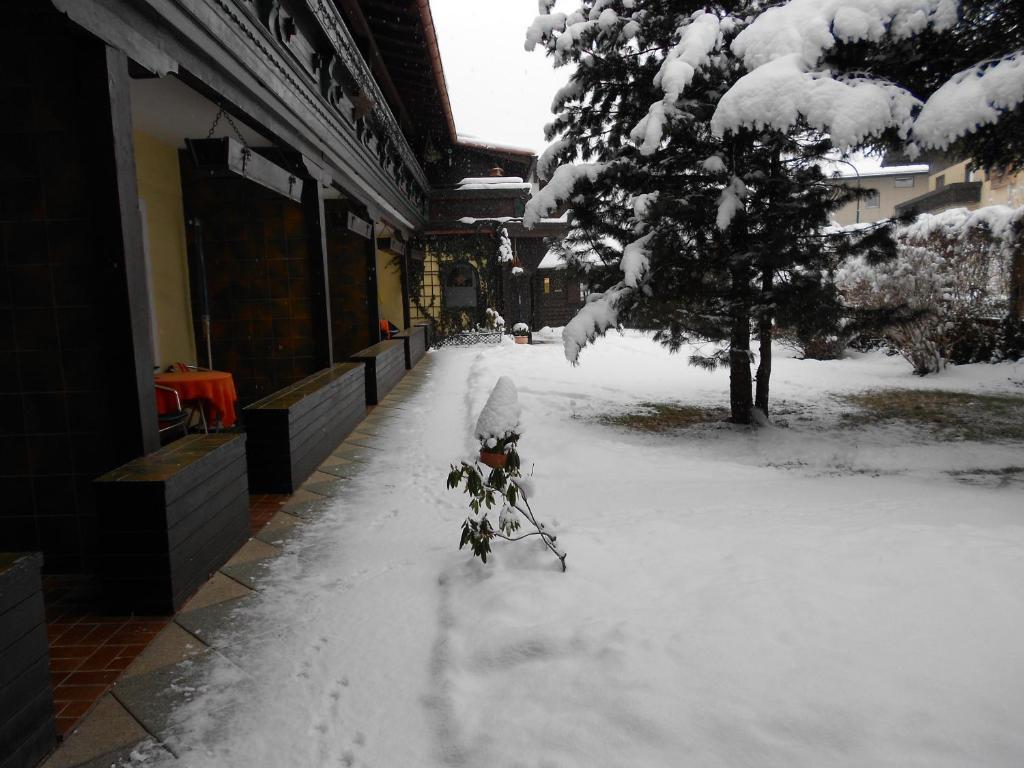 Alpen-Appartementhof บาดฮอฟกัสไตน์ ห้อง รูปภาพ